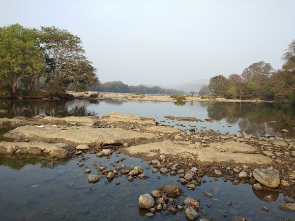 Cauvery Wildlife Sanctuary 1