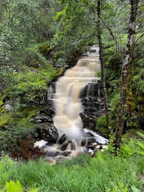 Corrieshalloch Gorge National Nature Reserve (National Trust for Scotland) 3