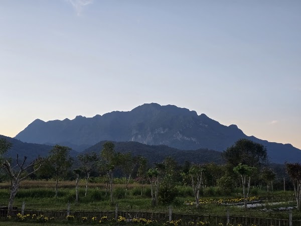 Bigleaf Camp Mt.Chiang Dao 5