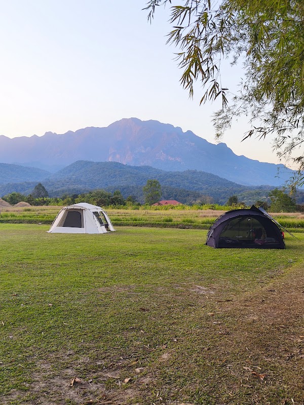 Bigleaf Camp Mt.Chiang Dao 4