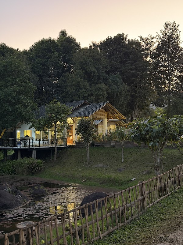 Bigleaf Camp Mt.Chiang Dao 2