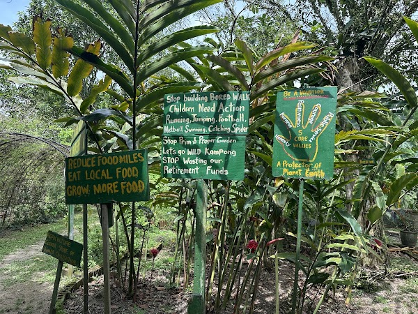Bollywood Farms Pte Ltd 2