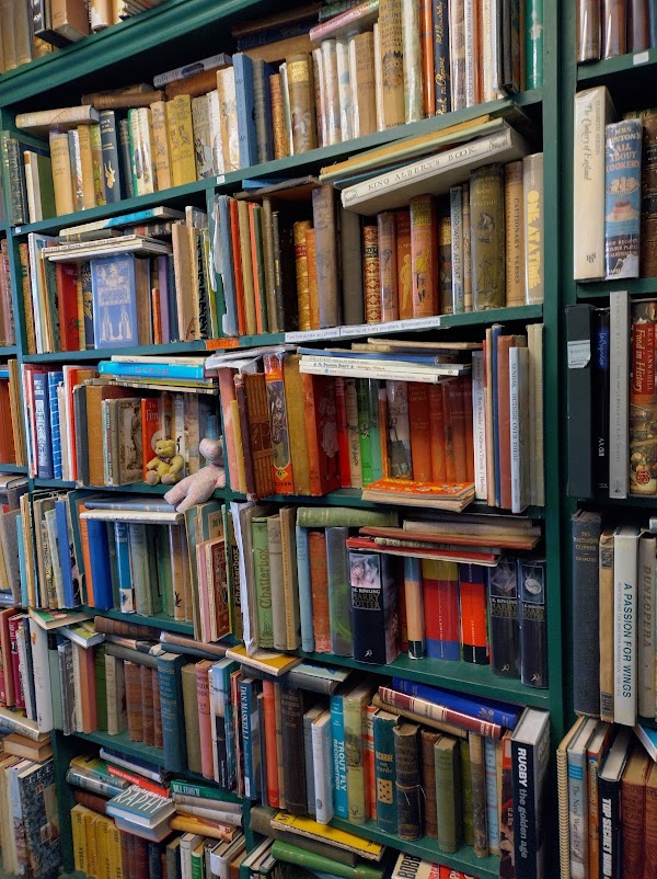 Foster Books 3