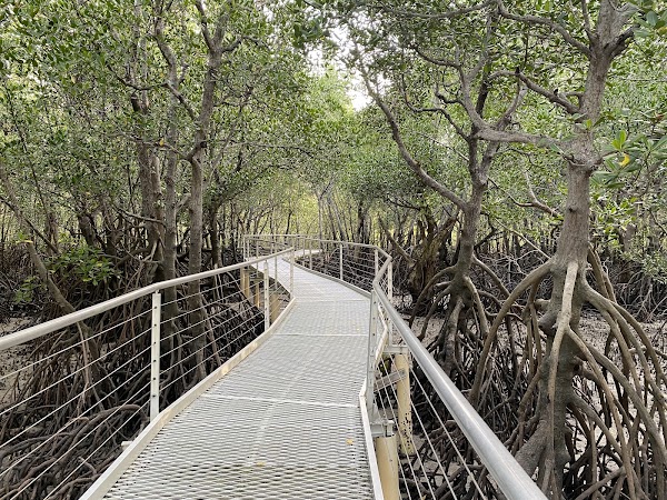 Misc 26