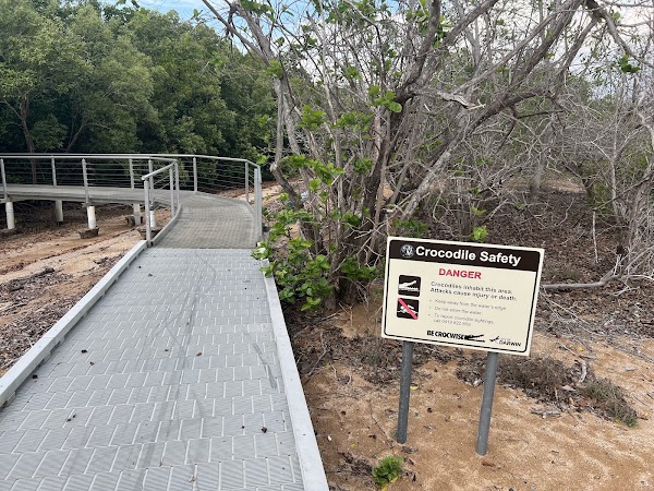 Mangrove Boardwalk 4