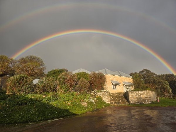 Cape Naturaliste Vineyard