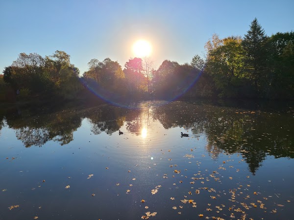 Clair Lake Park 1