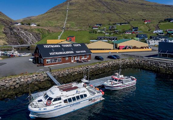 Vestmanna Sea Cliffs Tours