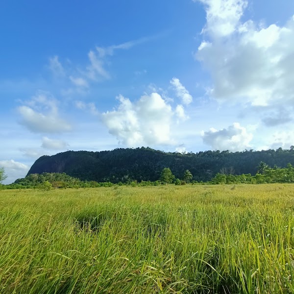 Pulau Berhala 2