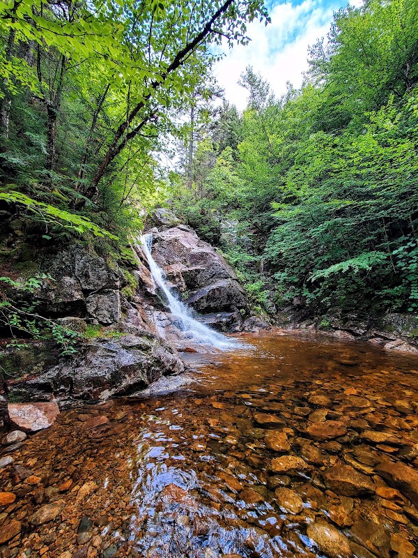 Gibbs Brook