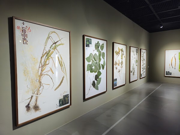 Seongnam Cube Art Museum 1