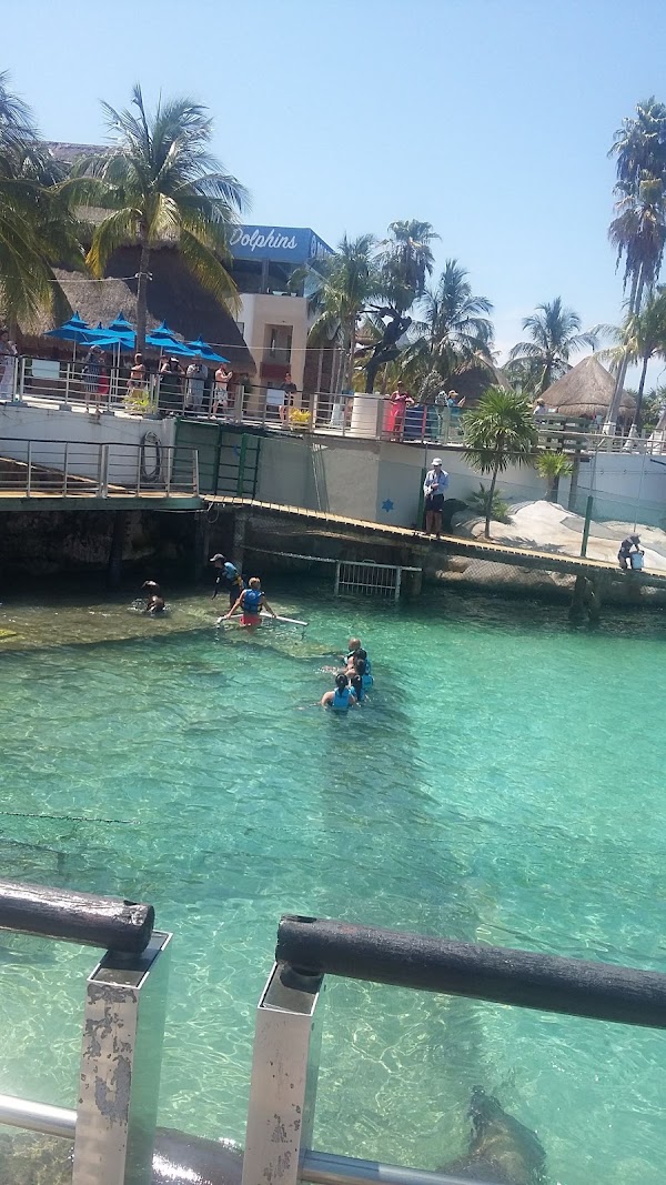 Isla Mujeres 3