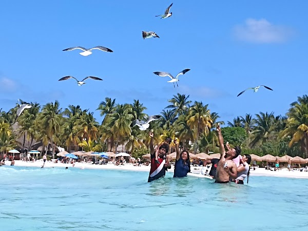 Isla Mujeres 2