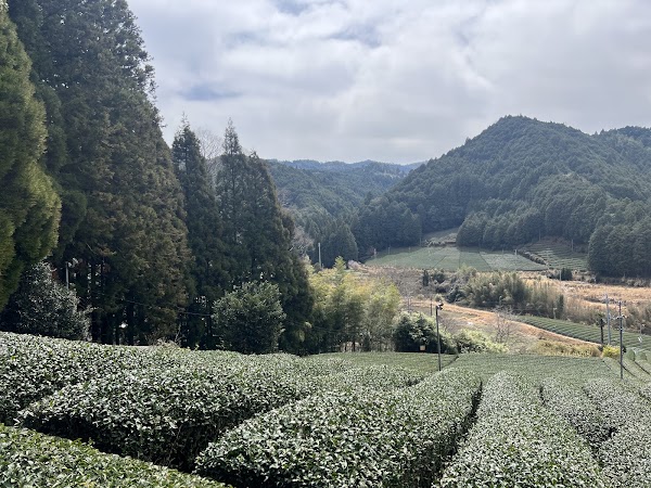 d:matcha Kyoto 4