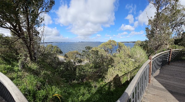 Dryandra Lookout 4