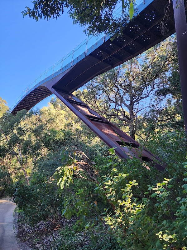 Dryandra Lookout 2