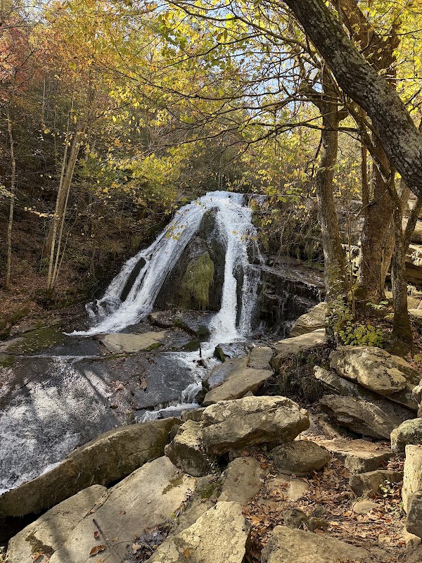 Roaring Run Furnace