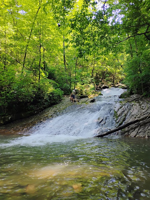 Roaring Run Furnace 5