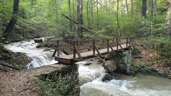 Roaring Run Furnace 3