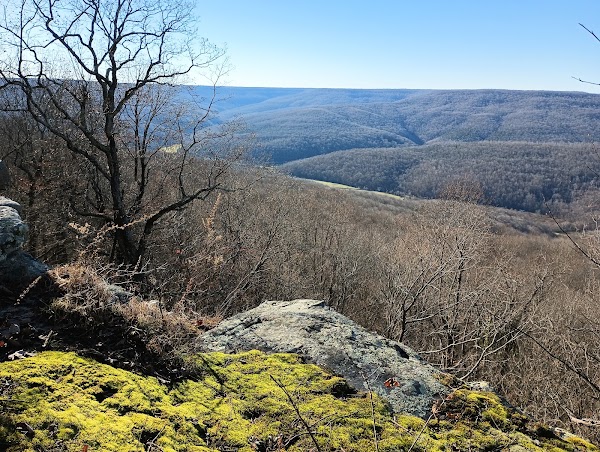 Head of the Crow State Park - Visitor Center 1
