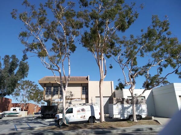 Torrance 5