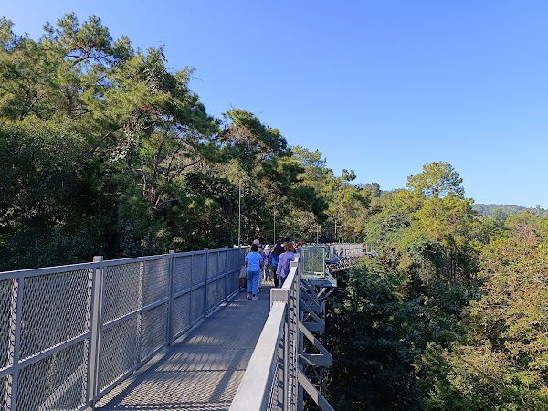 Queen Sirikit Botanic Garden 3