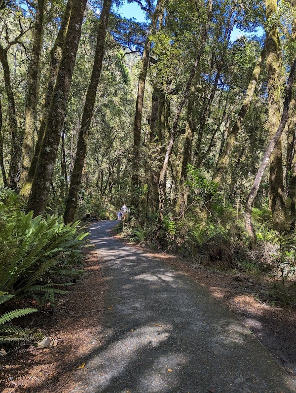 Thunder Creek Falls 3