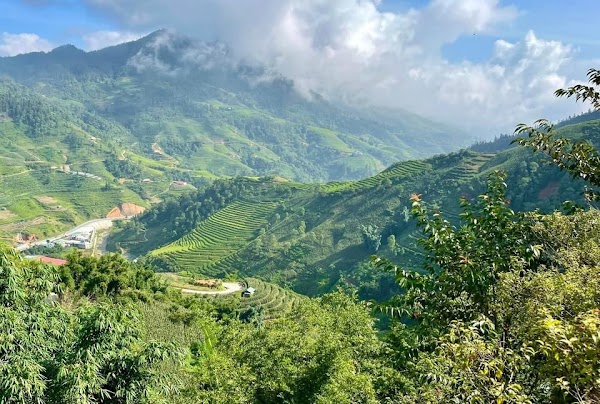 Sapa Green Valley