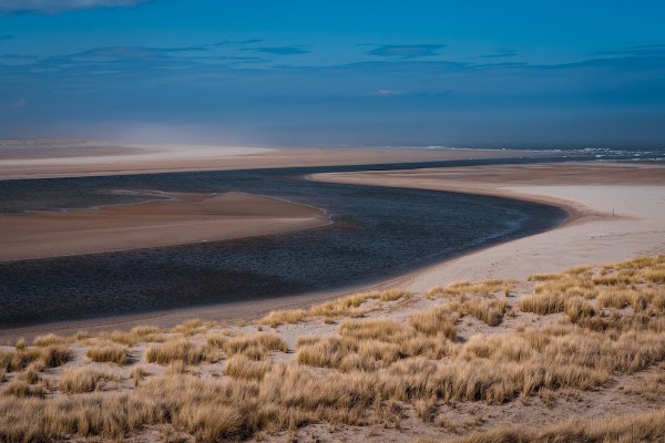 Budle Bay