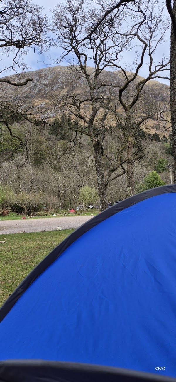 Red Squirrel Campsite Scotland 5