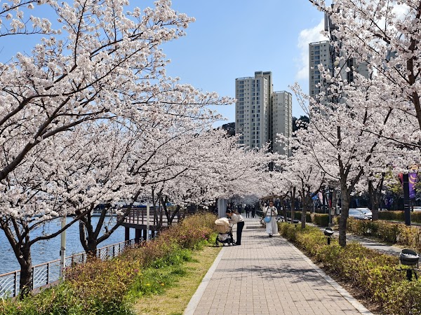 수영강변 산책로 2