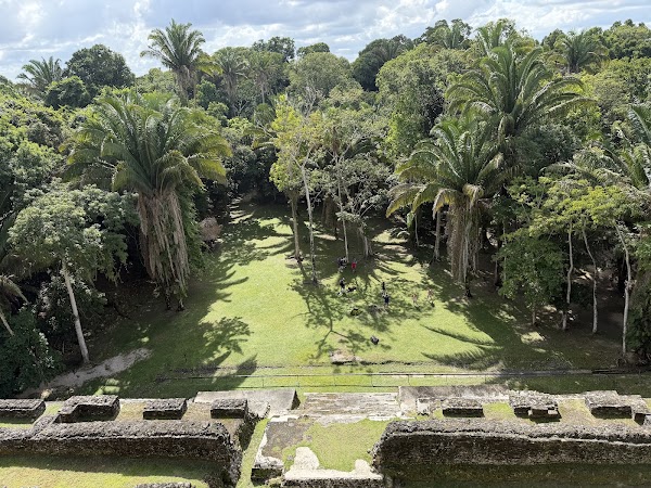 Lamanai Archaeological Reserve 3