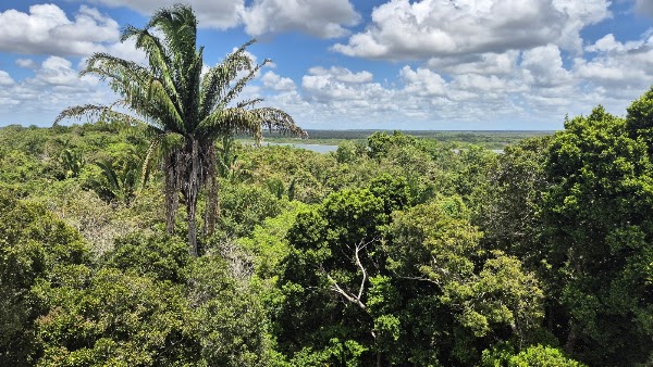 Lamanai Archaeological Reserve 2