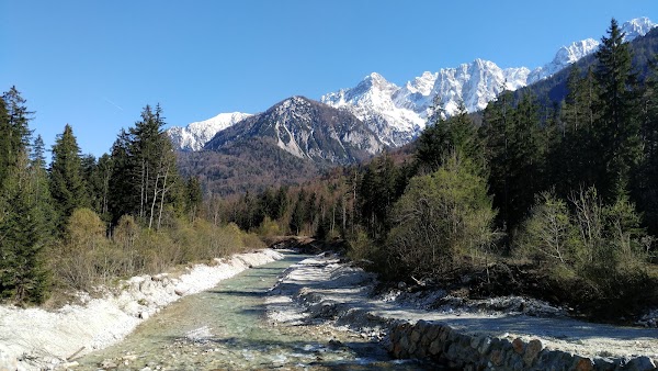 Gozd Martuljek 2