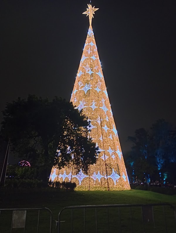 Parque Ibirapuera 4