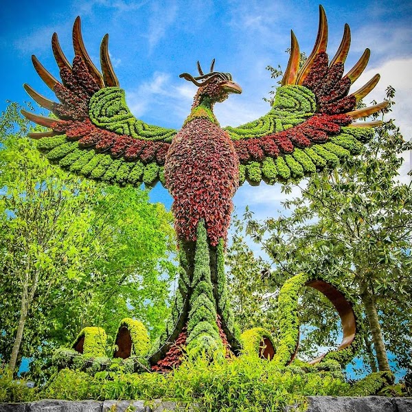 Atlanta Botanical Garden 3