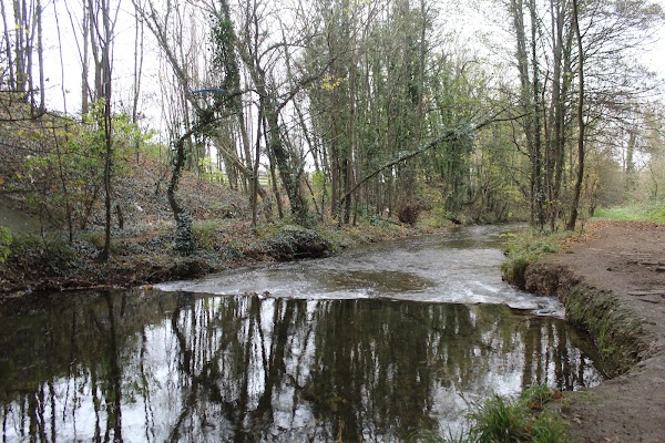 River Darent 1