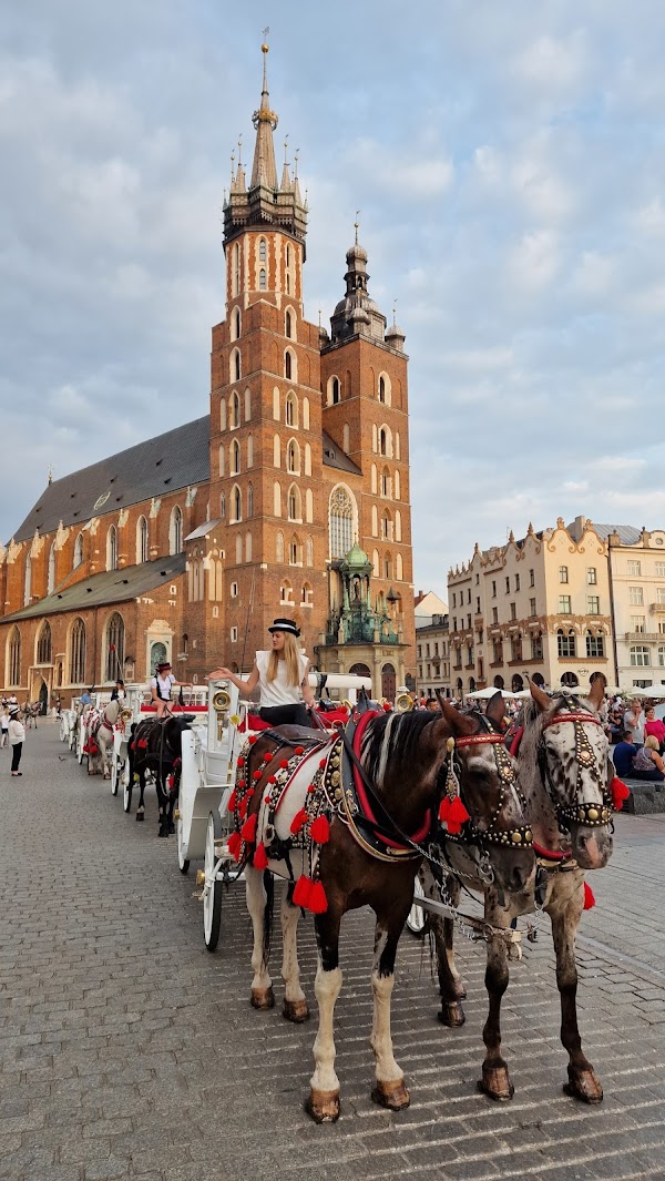 Kraków 5