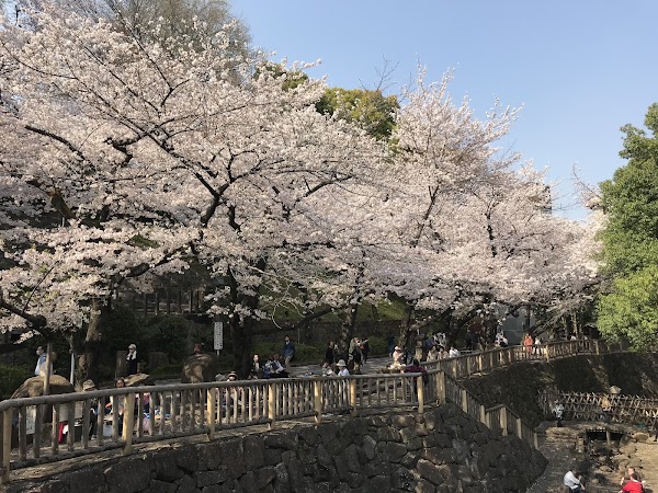 Otonashi Water Park