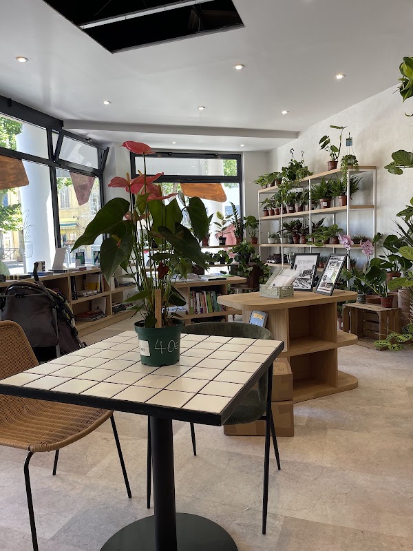 Mostera Concept Store 3