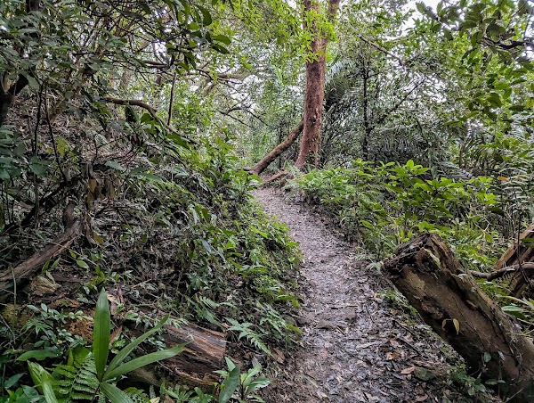 Mount Guanyin 2