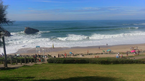 Milady Beach 5