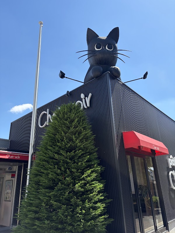 Chat noir 5