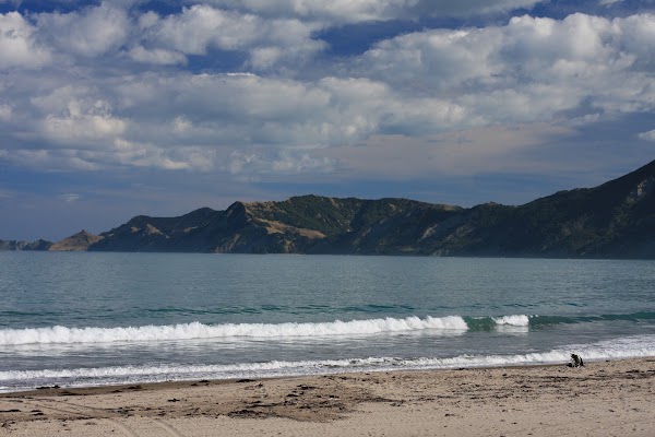 Tokomaru Bay