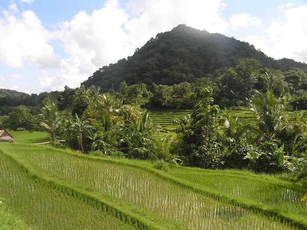 Bawean