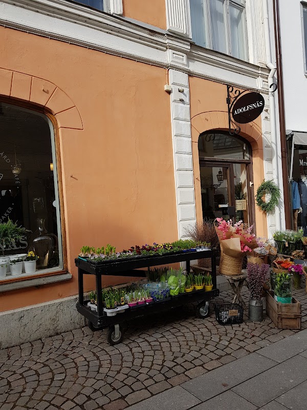 Adolfsnäs handelsträdgård