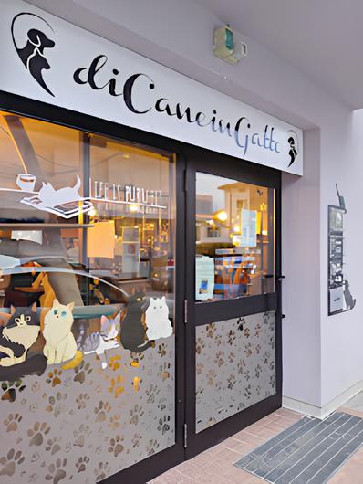 Cat Café - Di cane in gatto
