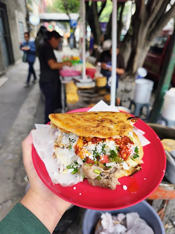 Gorditas Embarazadas