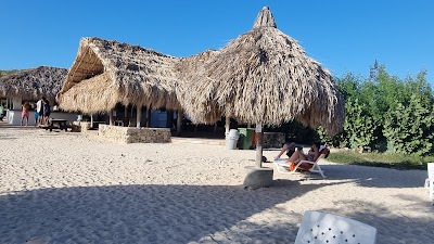 Curaçao 🪼 18