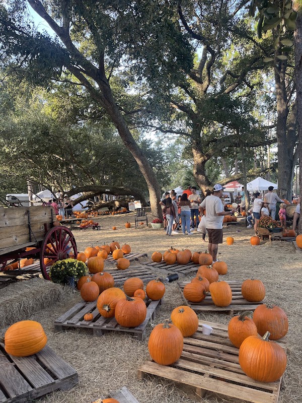 Partin Ranch Corn Maze